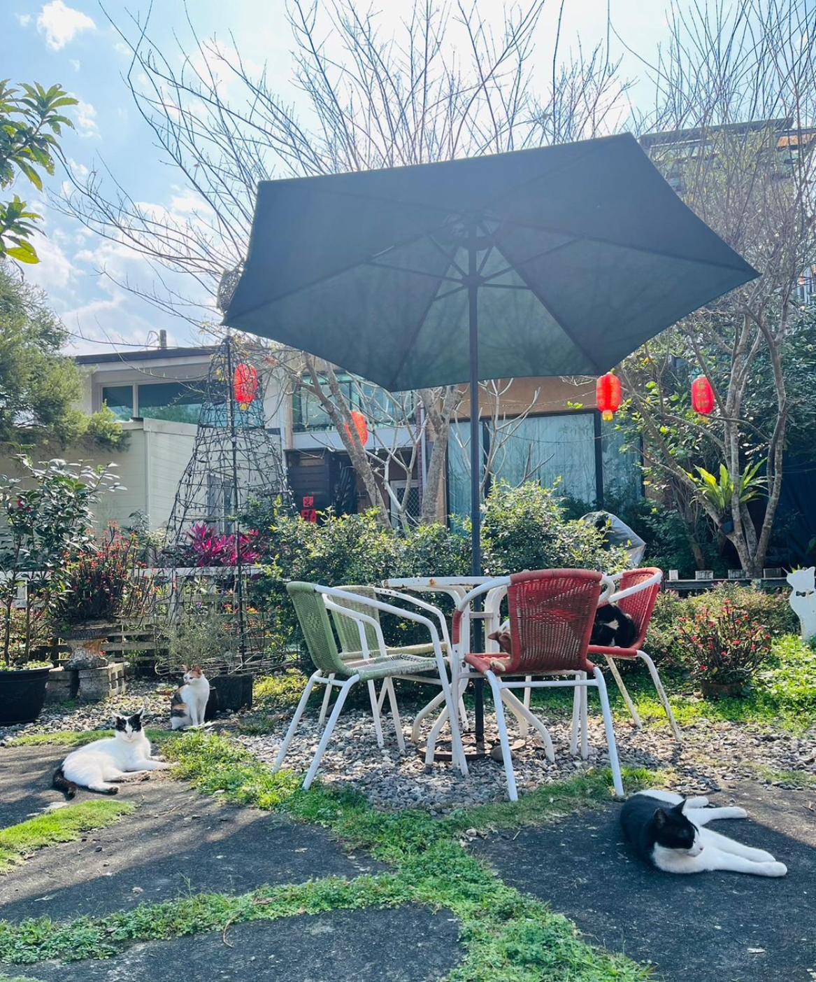 Cat Sky Country Homestay Sanxing Extérieur photo