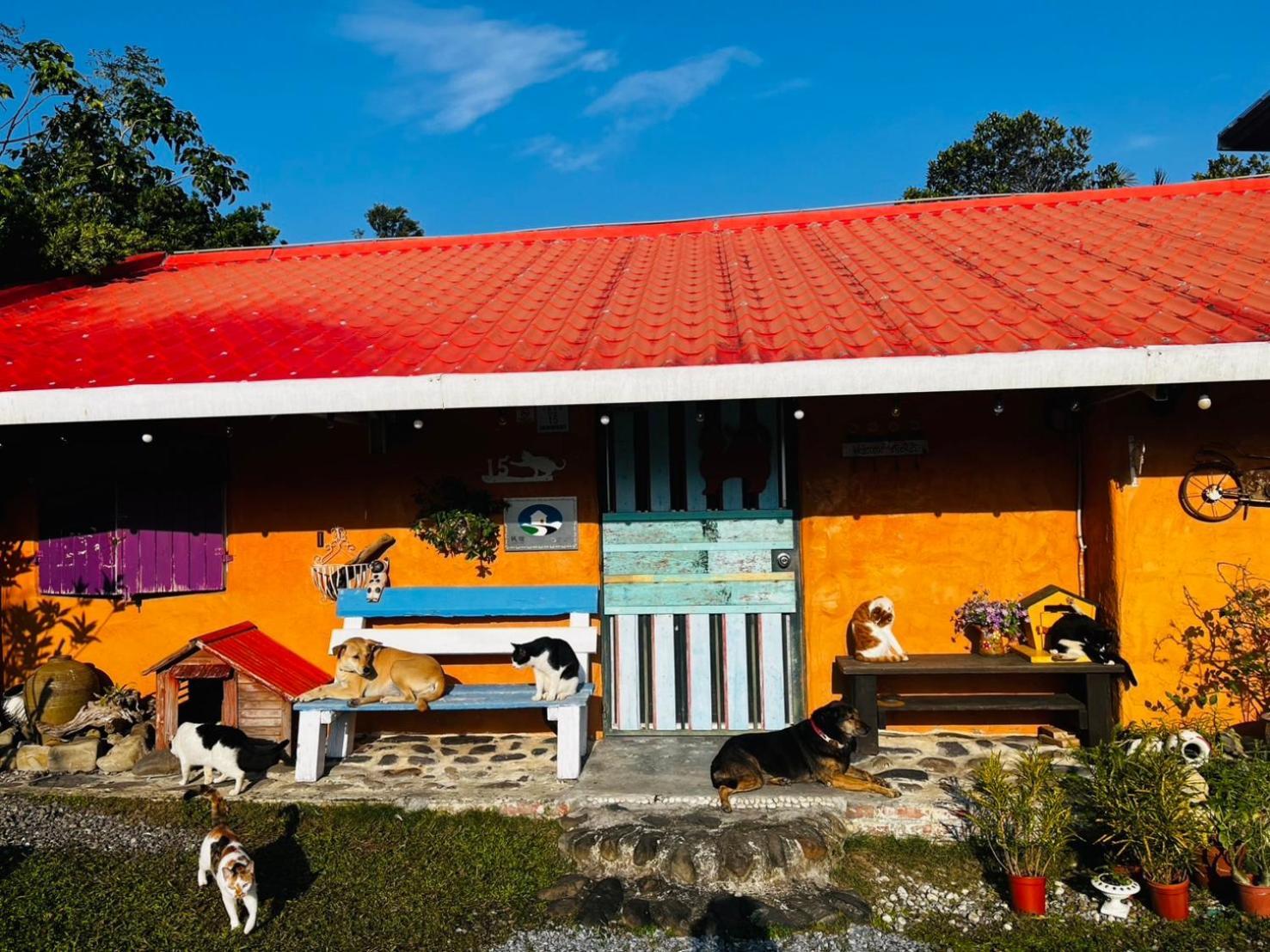 Cat Sky Country Homestay Sanxing Extérieur photo